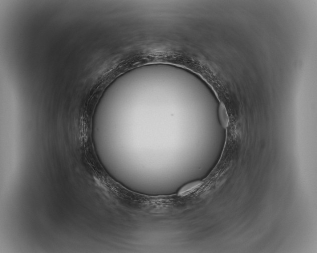 X0000116571253200912171457