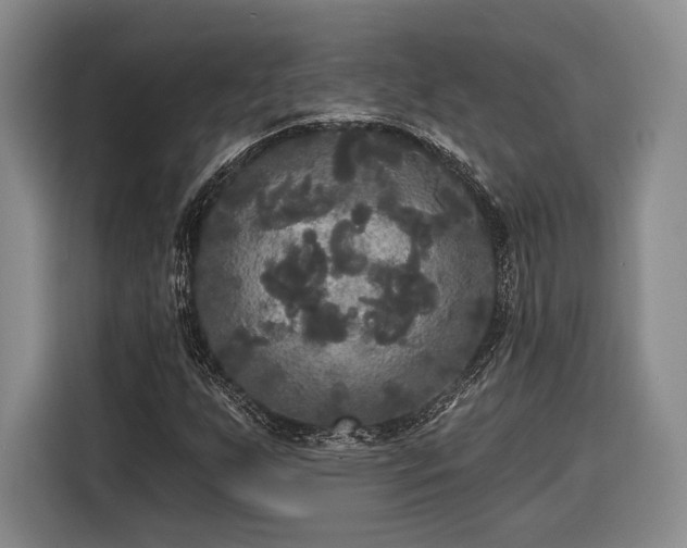 X0000116571255200912171457