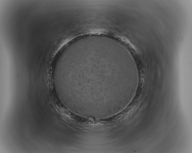 X0000116571256200912171457