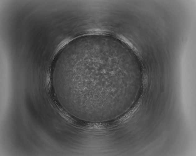 X0000116571259200912171457