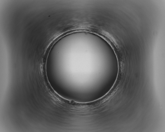 X0000116571260200912171457