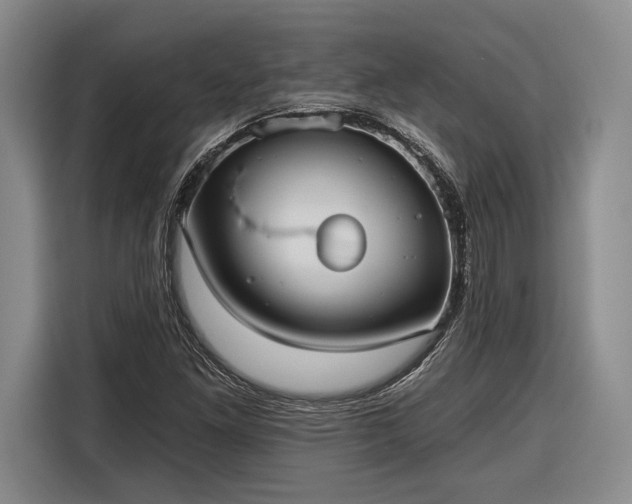 X0000116571261200912171457