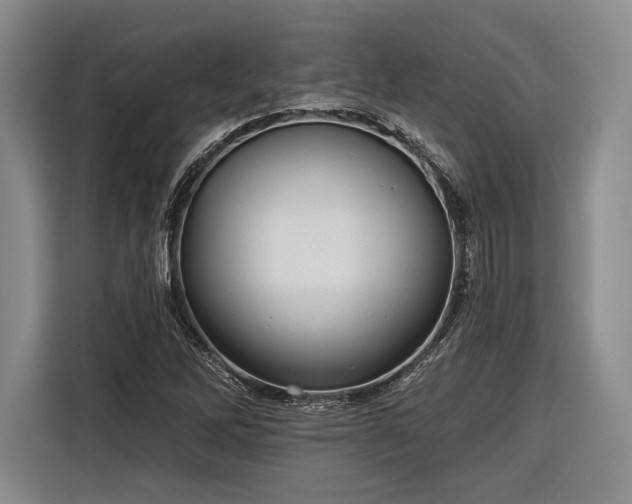 X0000116571262200912171457