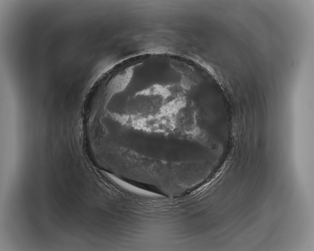 X0000116571263200912171457