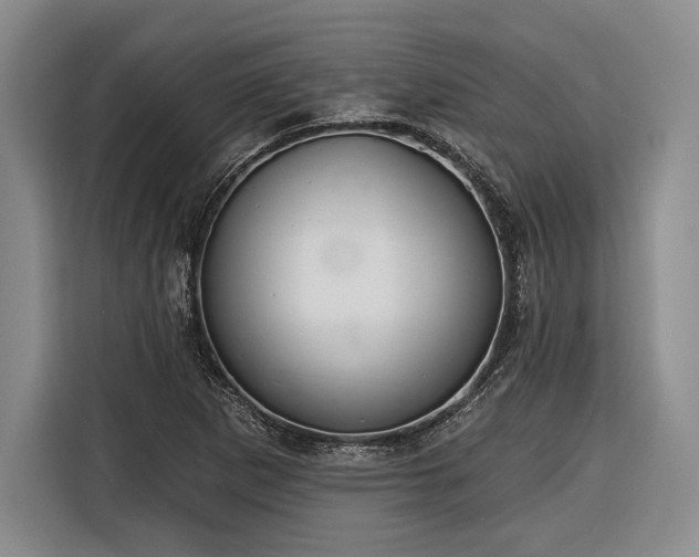 X0000116571265200912171457