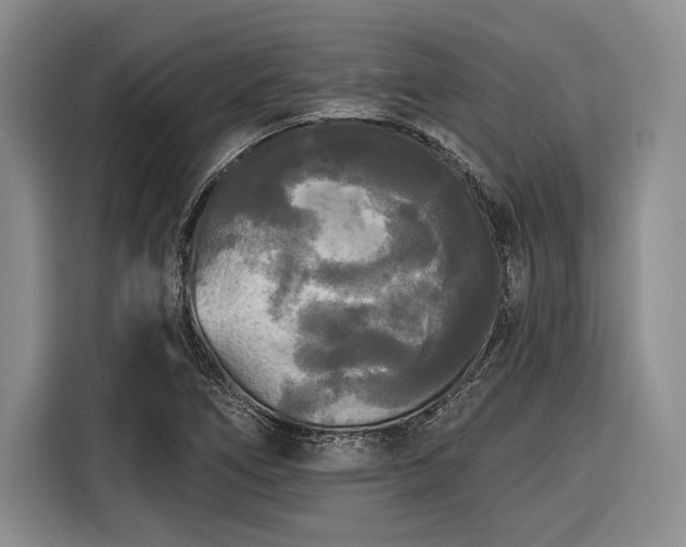 X0000116571266200912171456