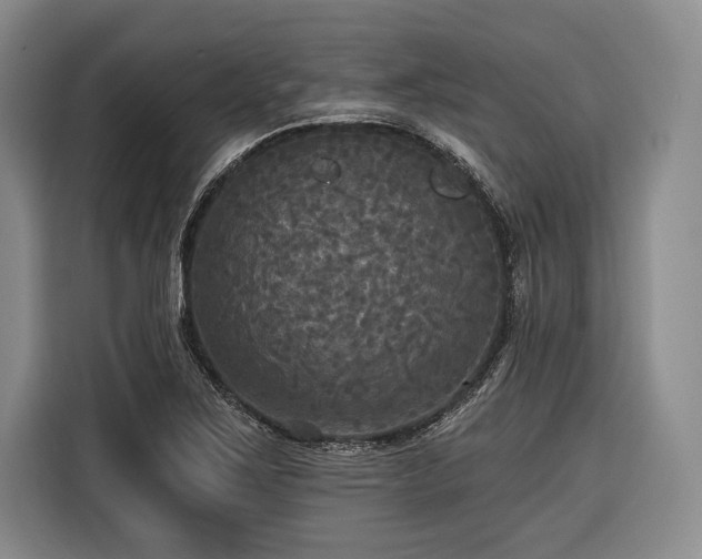 X0000116571267200912171456