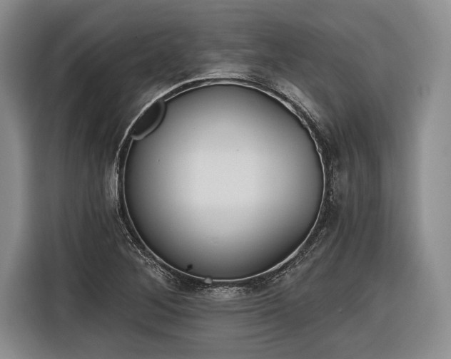 X0000116571268200912171456