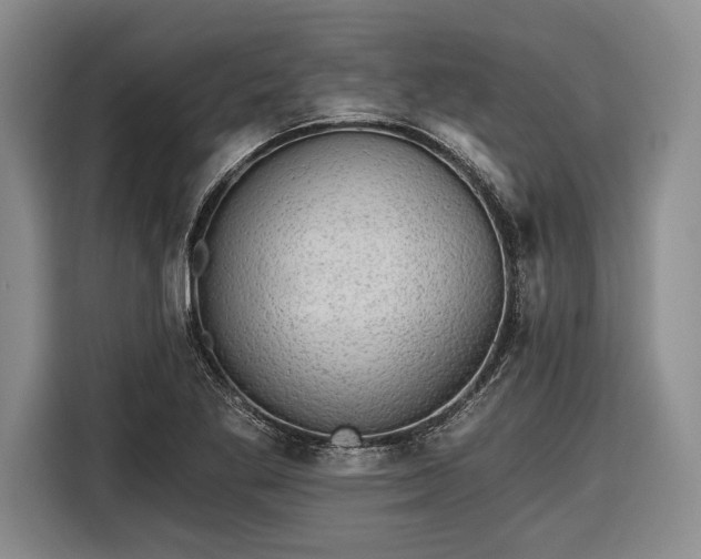 X0000116571269200912171456