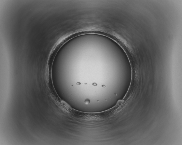 X0000116571270200912171456