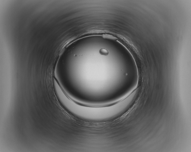 X0000116571273200912171456