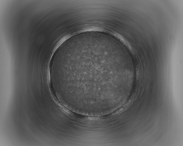 X0000116571274200912171456