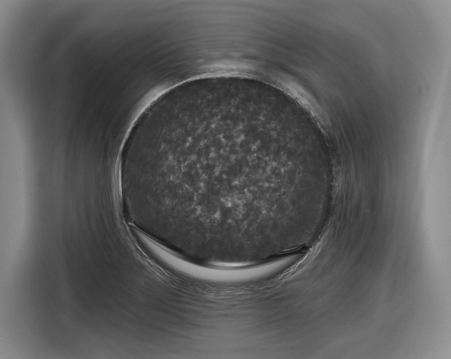 X0000116571275200912171456