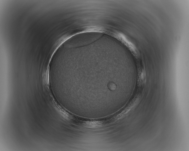 X0000116571276200912171456