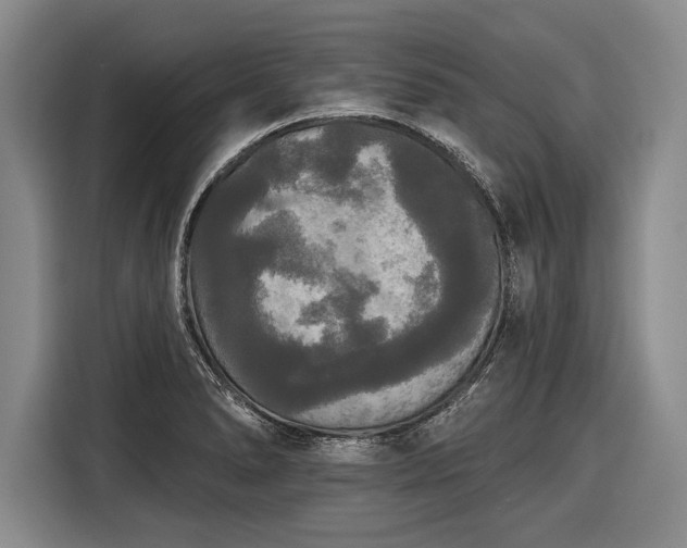 X0000116571278200912171456