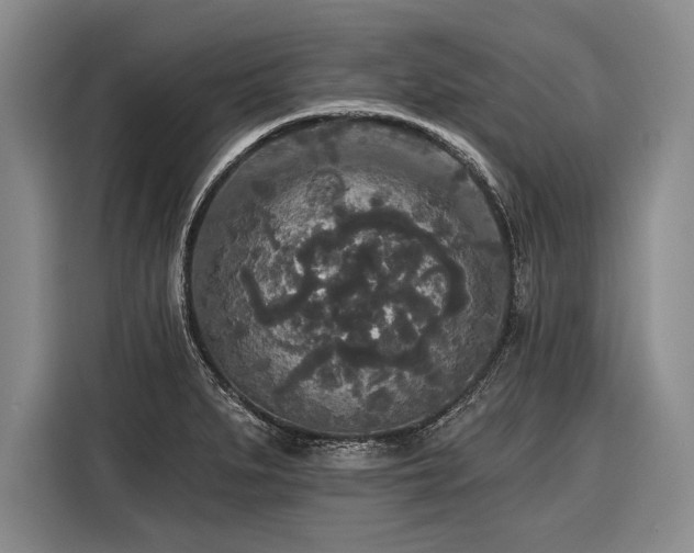 X0000116571279200912171456