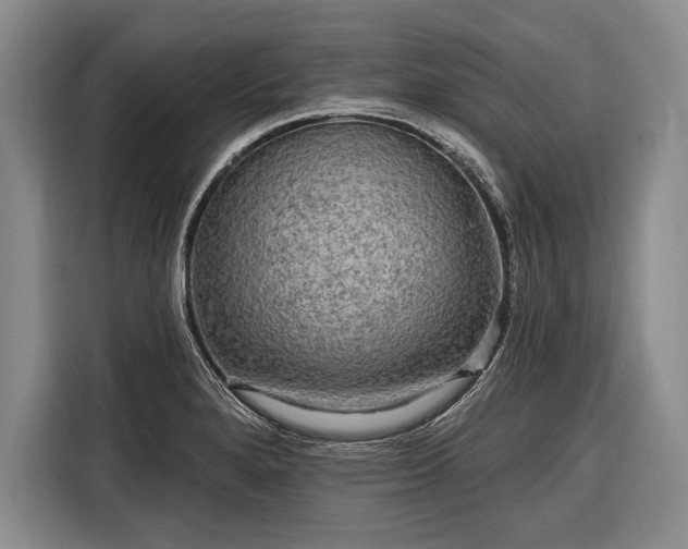 X0000116571280200912171456