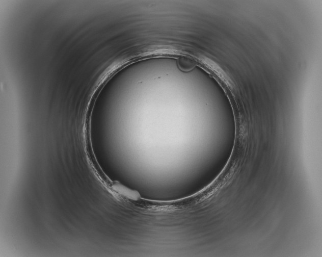 X0000116571282200912171456