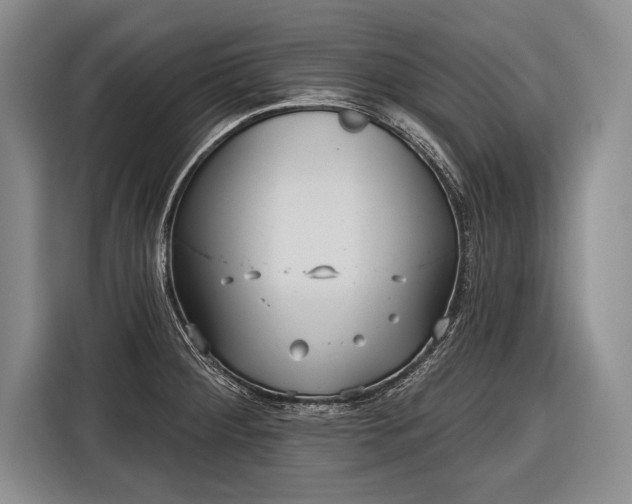 X0000116571284200912171456