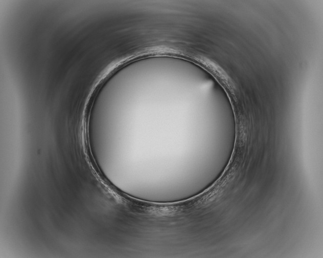 X0000116571286200912171456