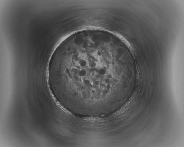 X0000116571287200912171456