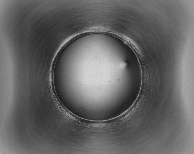 X0000116571288200912171456