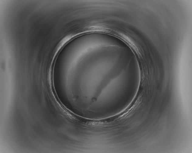 X0000116571291200912171456