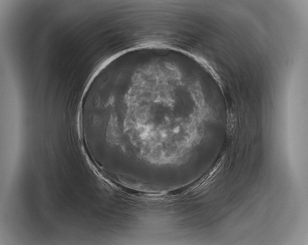 X0000116571295200912171456