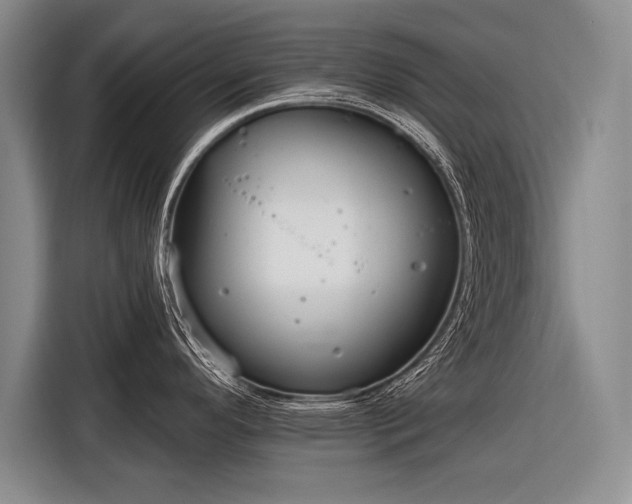 X0000116571296200912171456