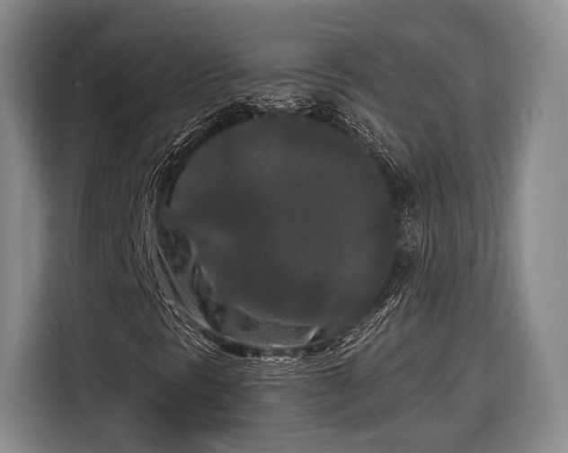 X0000116571297200912171455