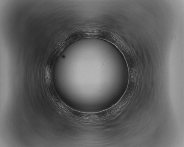 X0000116571298200912171455