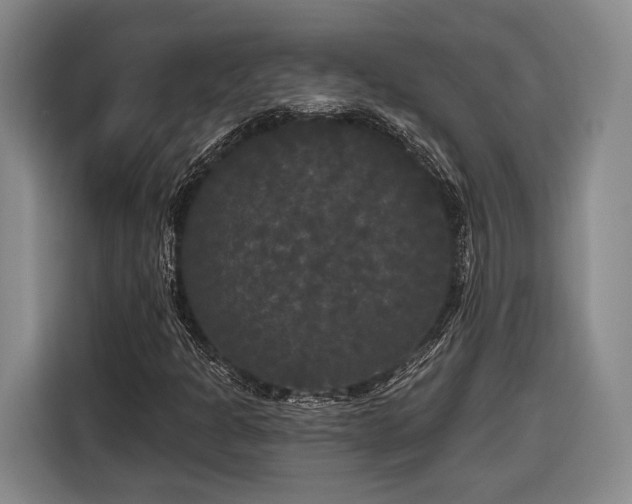 X0000116571301200912171456