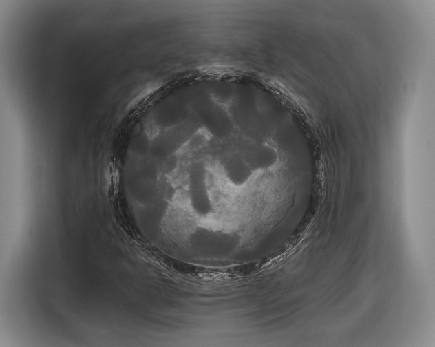 X0000116571302200912171456