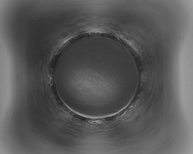 X0000116571303200912171456