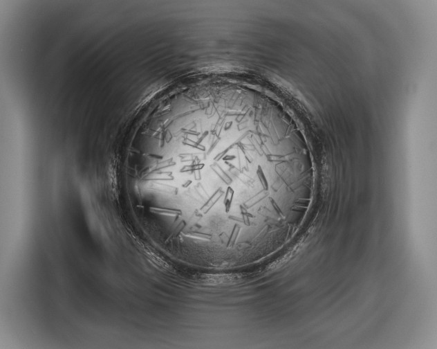 X0000116571305200912171456