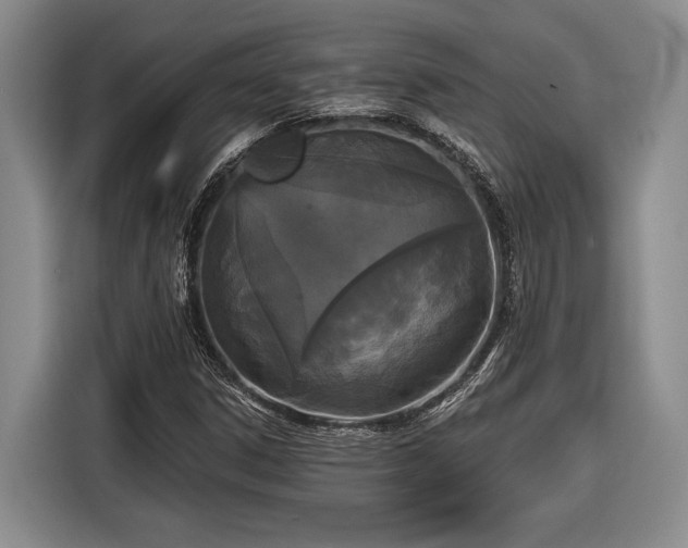 X0000116571306200912171456