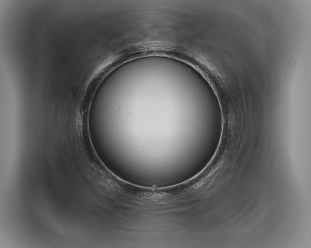 X0000116571309200912171456