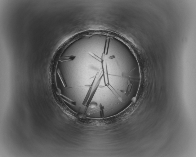 X0000116571311200912171456