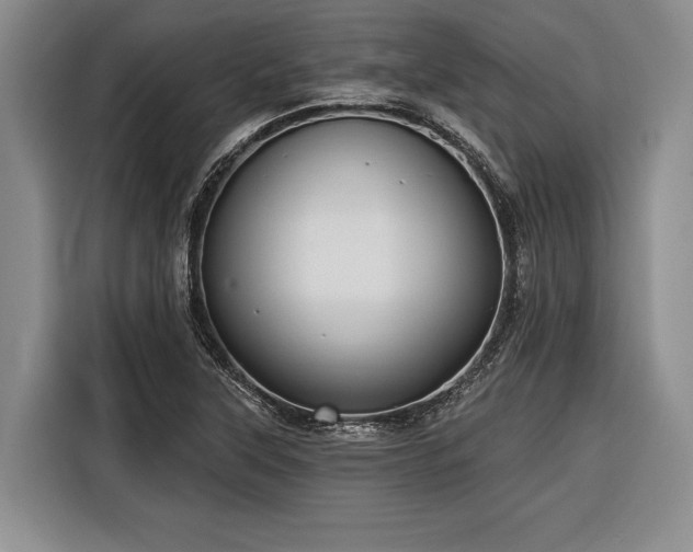 X0000116571315200912171456