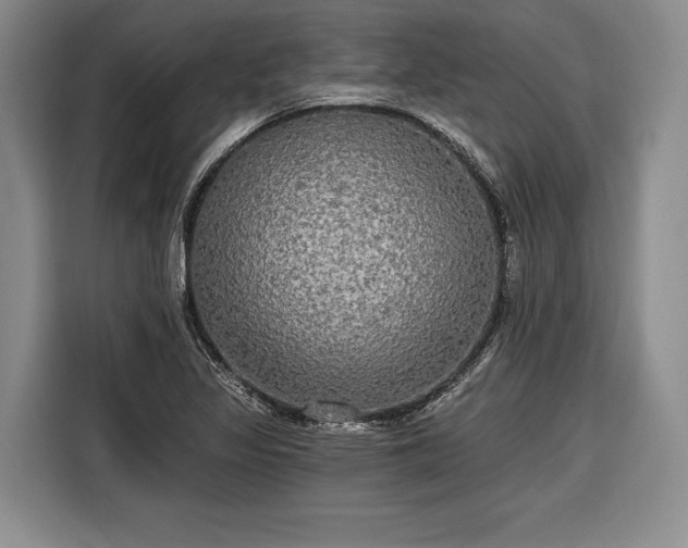 X0000116571317200912171456