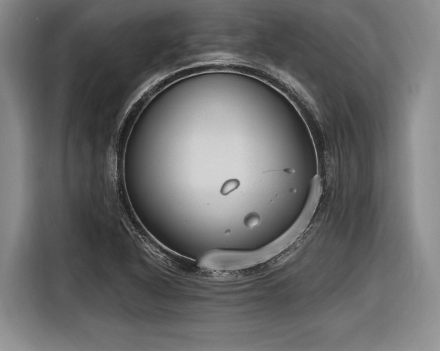 X0000116571318200912171456