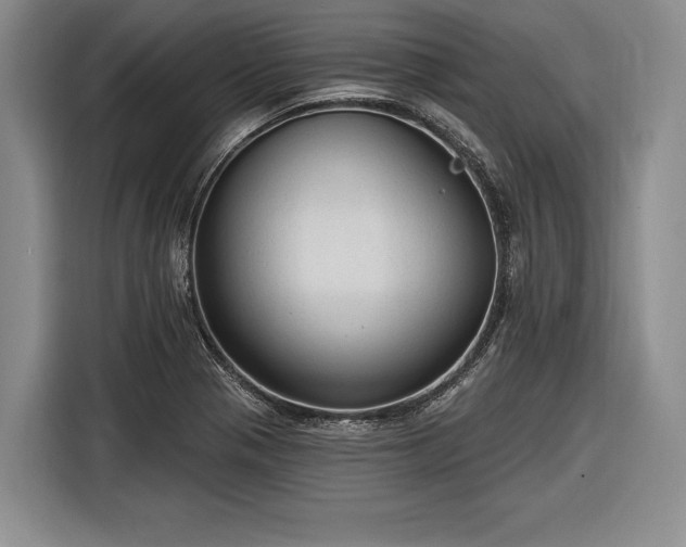 X0000116571321200912171456