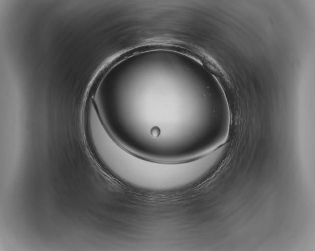 X0000116571323200912171456