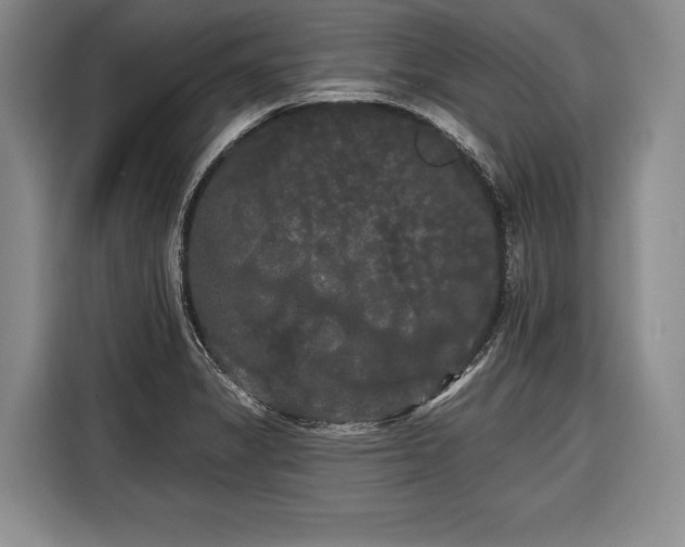 X0000116571325200912171456