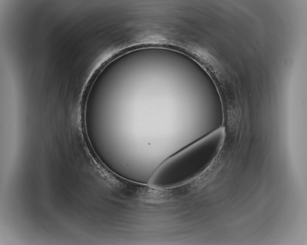 X0000116571326200912171456