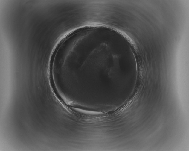 X0000116571327200912171456