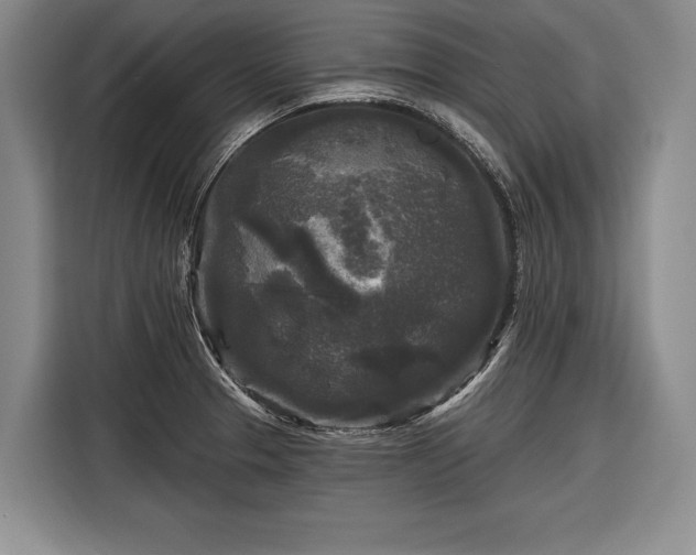 X0000116571329200912171456