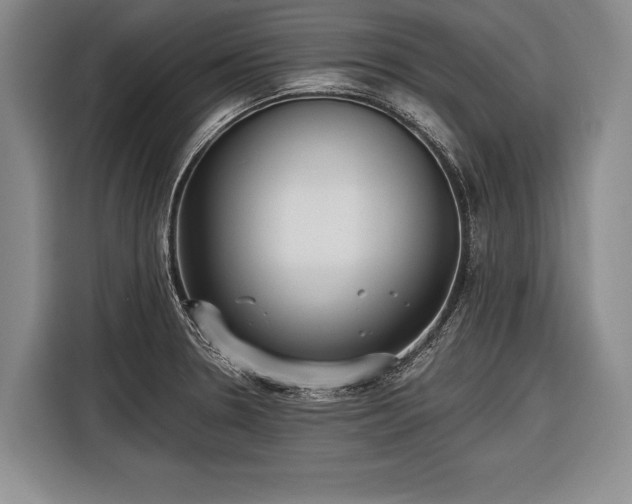 X0000116571330200912171456