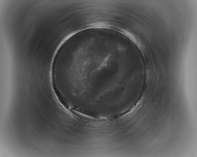 X0000116571331200912171456