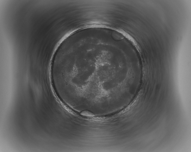 X0000116571333200912171456